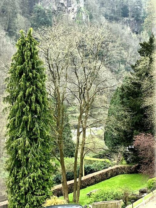 10 Wye Rapids Cottages Symonds Yat Esterno foto